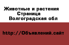  Животные и растения - Страница 43 . Волгоградская обл.